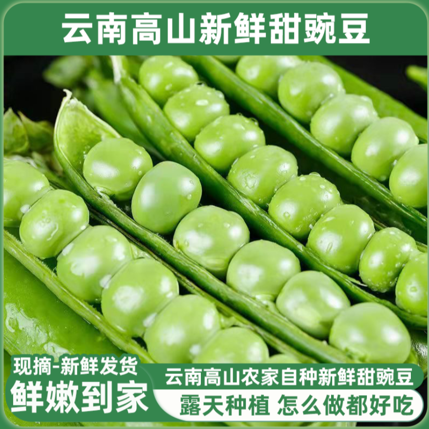 云南高山新鲜甜脆水果豌豆带壳现摘现发饱满优质蔬菜