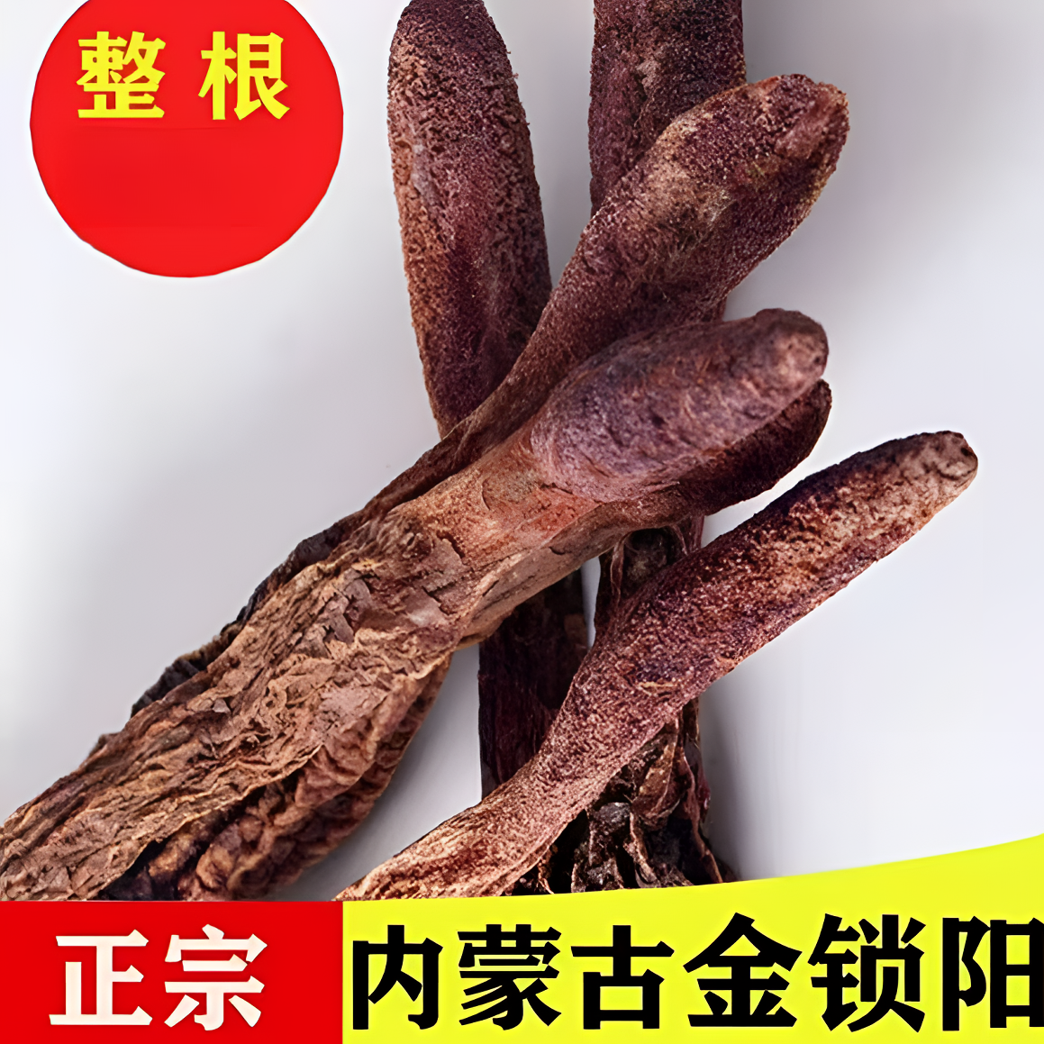 金锁阳阿拉善金锁阳整根大根金锁阳切片金锁阳中药材正品锁阳个