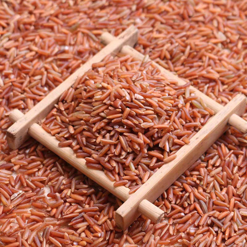 农家红米正宗农家新米5斤10斤五谷粗粮糙米可做杂粮饭