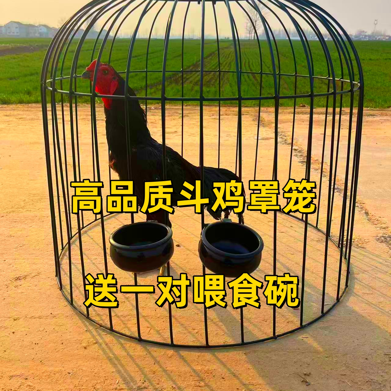 斗鸡鸡笼笼子家用专用折叠大号罩笼铁笼子钢筋训练组装单层用品
