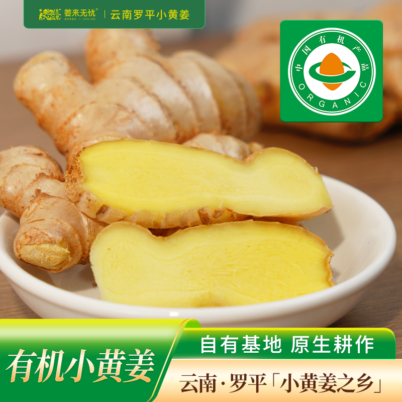 【年货节】水洗姜云南罗平有机小黄姜老姜农家肥炒菜不熏硫不泡药
