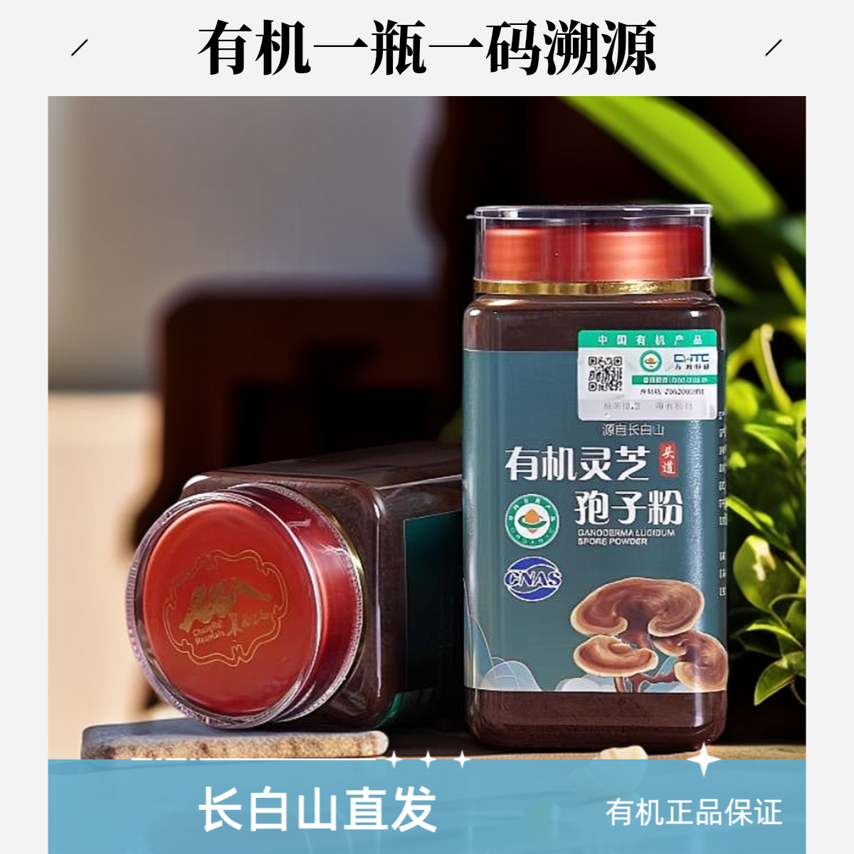 【长白山产地直发】 有机灵芝孢子粉 破壁工艺 椴木 头道新粉 250g