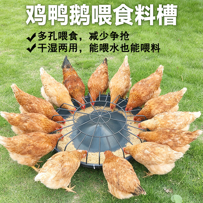 小鸡食槽料槽12孔牛筋食槽耐摔饲料盆料槽圆形网红干湿两用新款