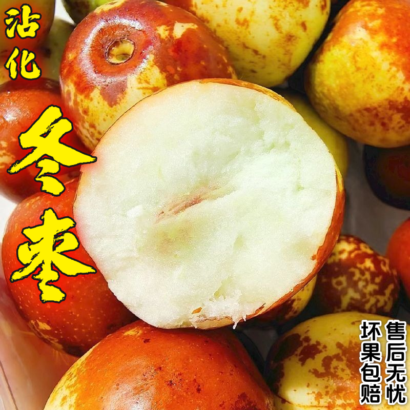 山东沾化冬枣皮薄脆甜多汁当季新鲜水果现摘现发