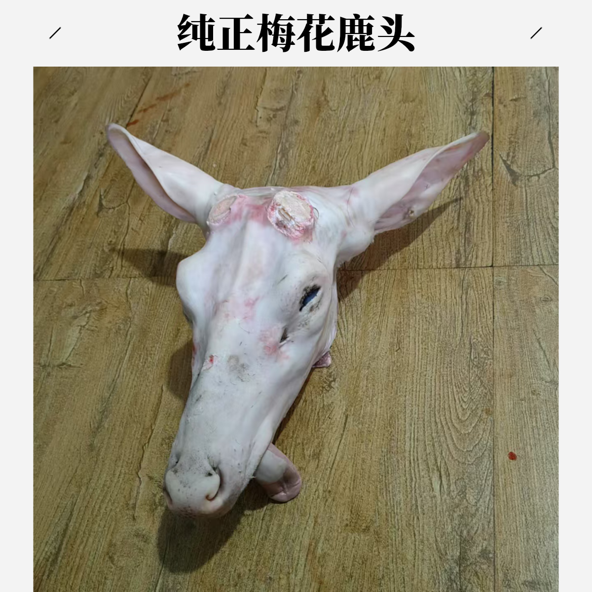 纯正梅花鹿头 原切生鹿头 鲜鹿头 精选整个生鹿头营养美味