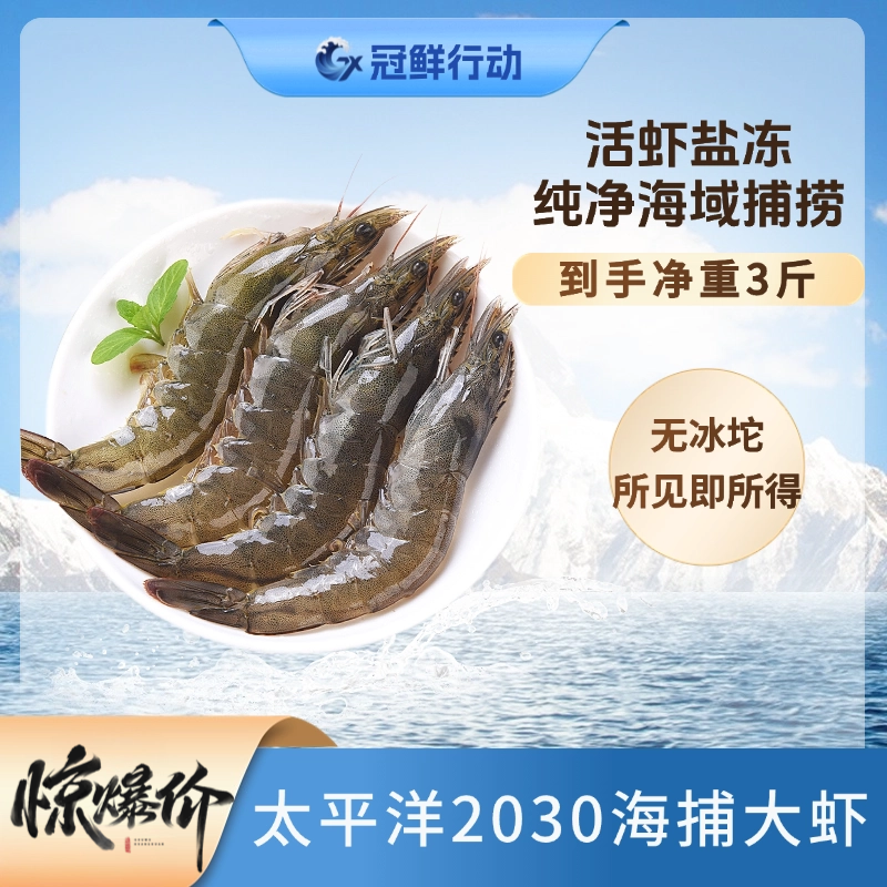 【超大大号海虾】冠鲜太平洋海虾18-20cm单只2030规格三斤/40只左右