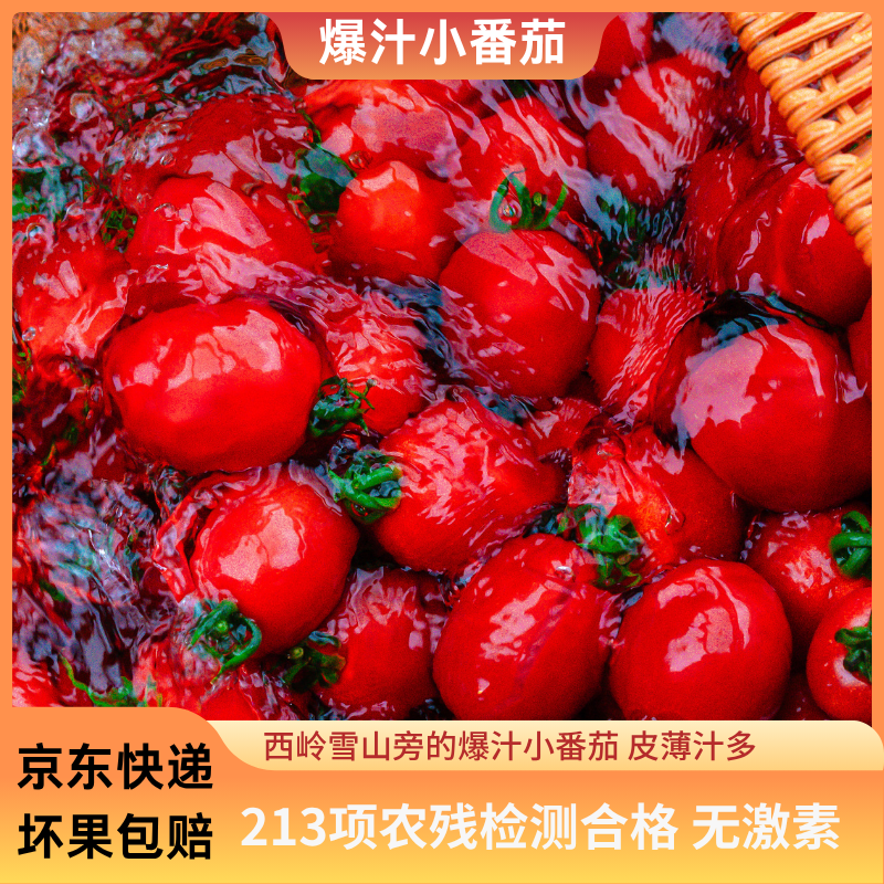 【专享】斜源新鲜现摘自然熟爆汁酸甜当季圣女果树番茄