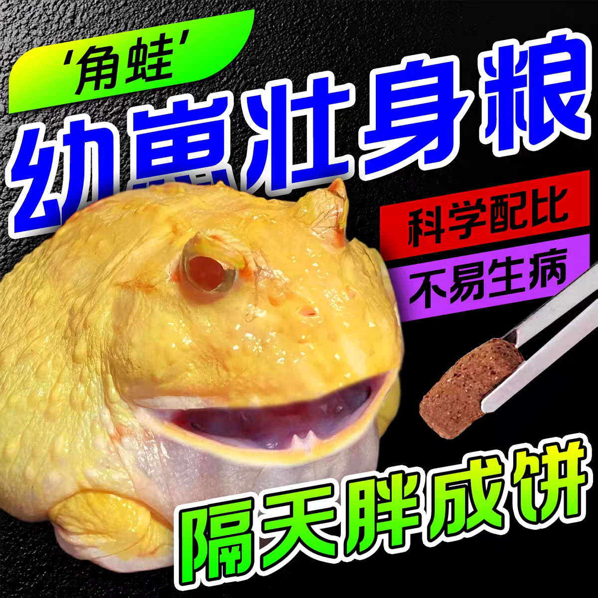 青蛙饲料角蛙粮小丑霸王黄金角蛙营养蛙粮树蛙颗粒食物钟角饲料粮