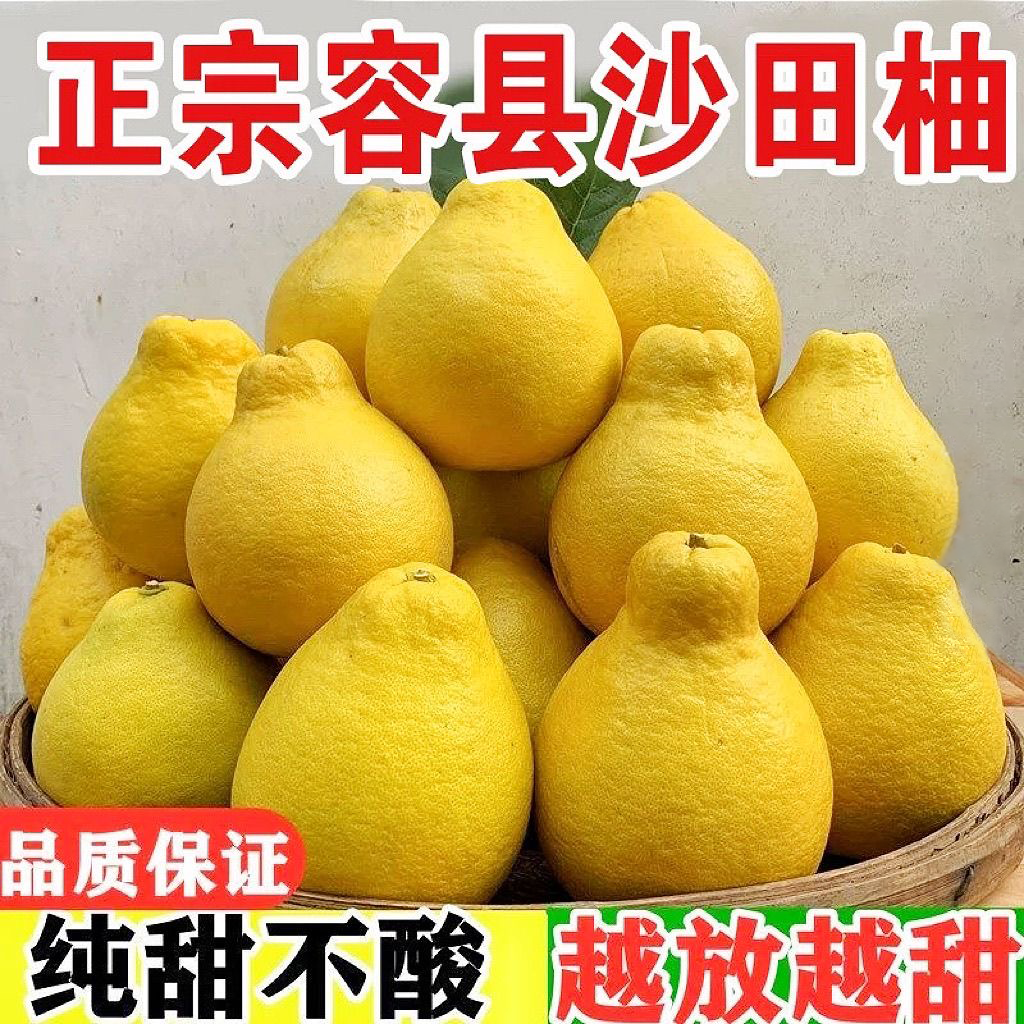 （外省下单）正宗广西容县沙田柚山顶老树果10斤蛇皮袋装