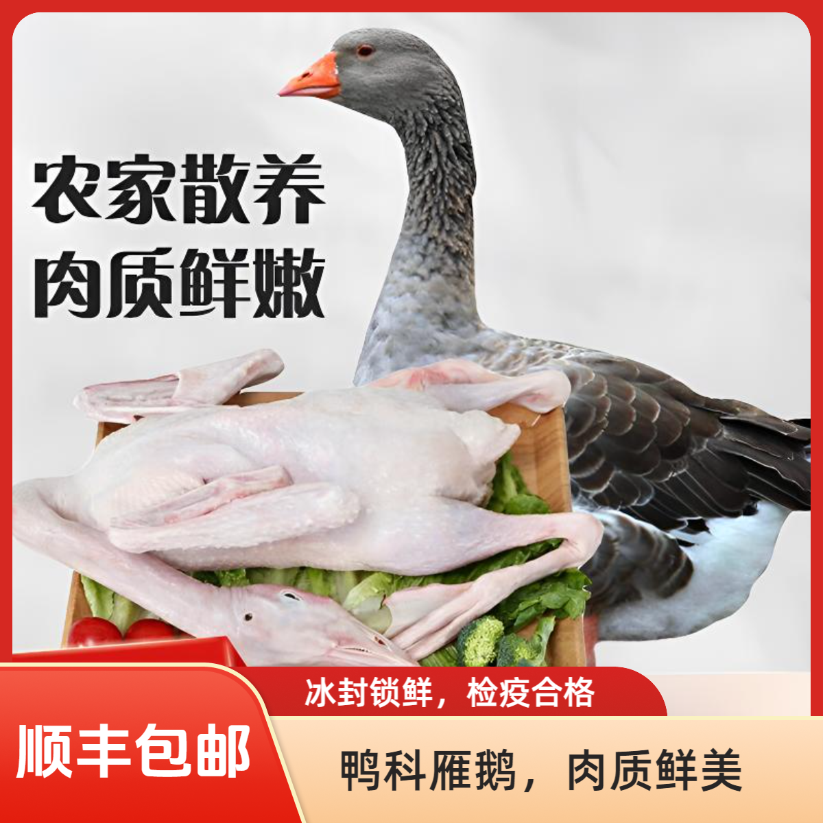 顺丰包邮【4.5-5斤】农家散养整只大雁鹅带掌翅心肝