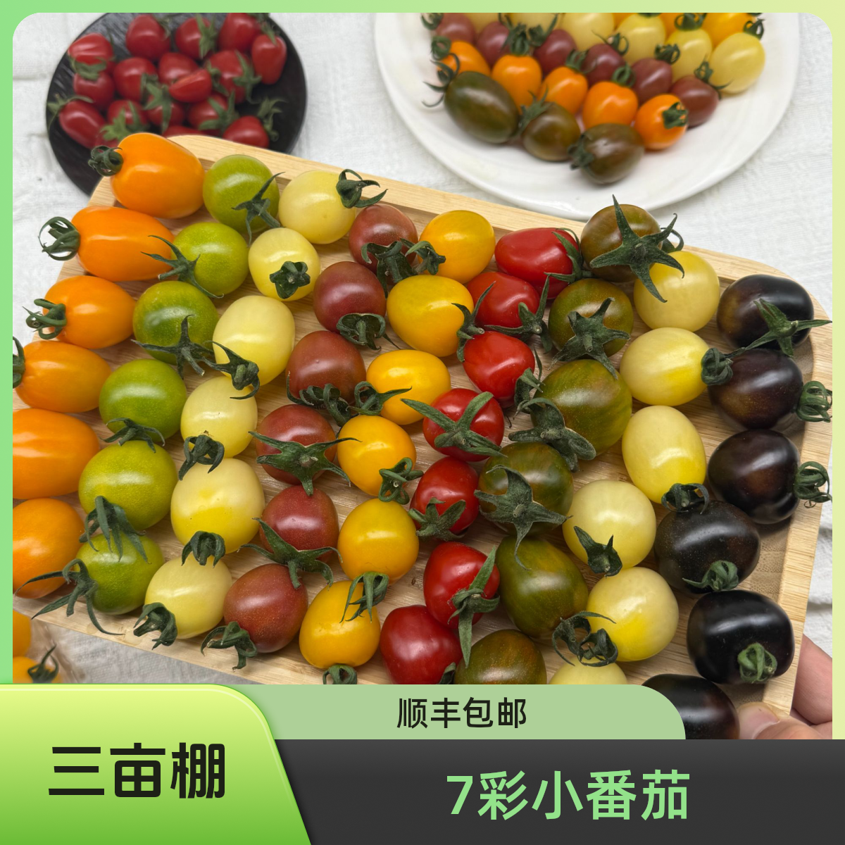 【顺丰快递】七彩小番茄盲盒多彩随机7色小番茄圣女果【随机5～7色】