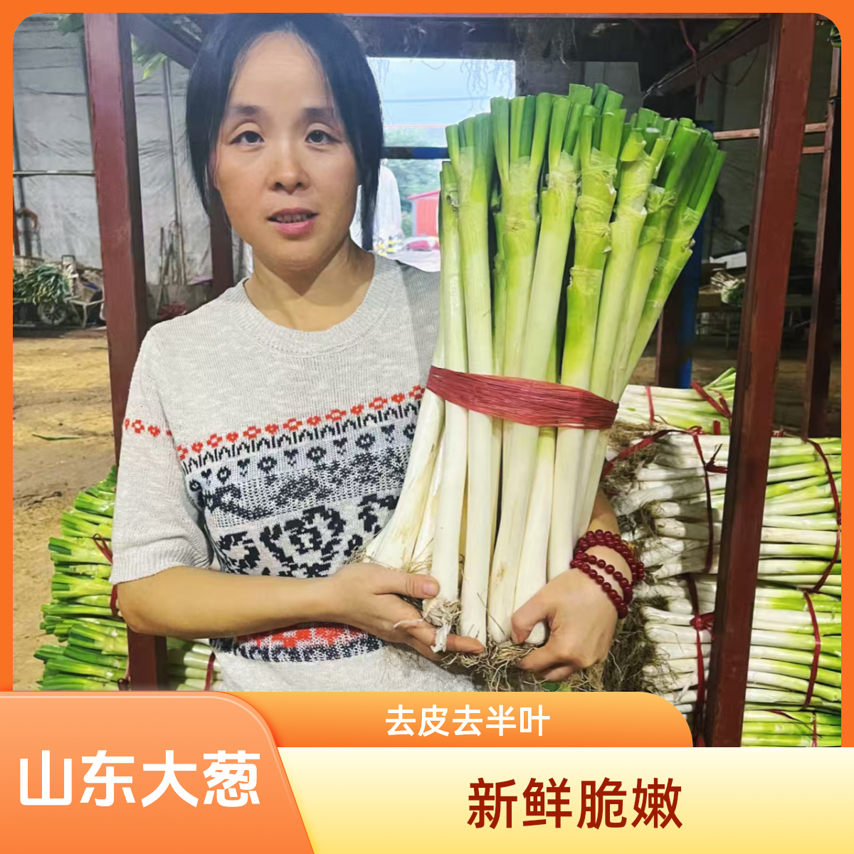 山东大葱一级精品山东铁杆大葱新鲜脆嫩甜脆蘸酱产地直发