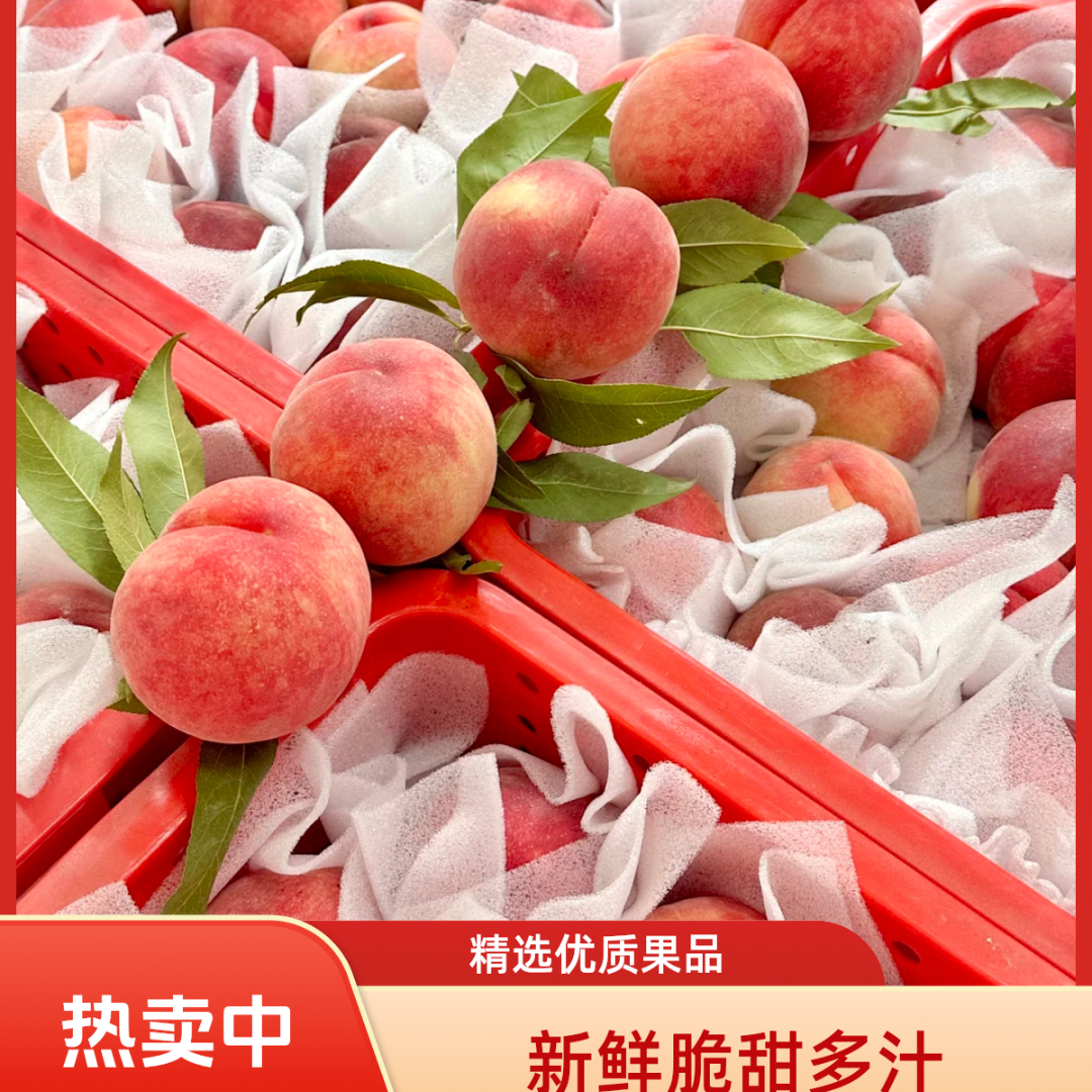 【顺丰包邮】正宗龙泉驿水蜜桃放软可撕皮软糯香甜多汁果园现摘直发