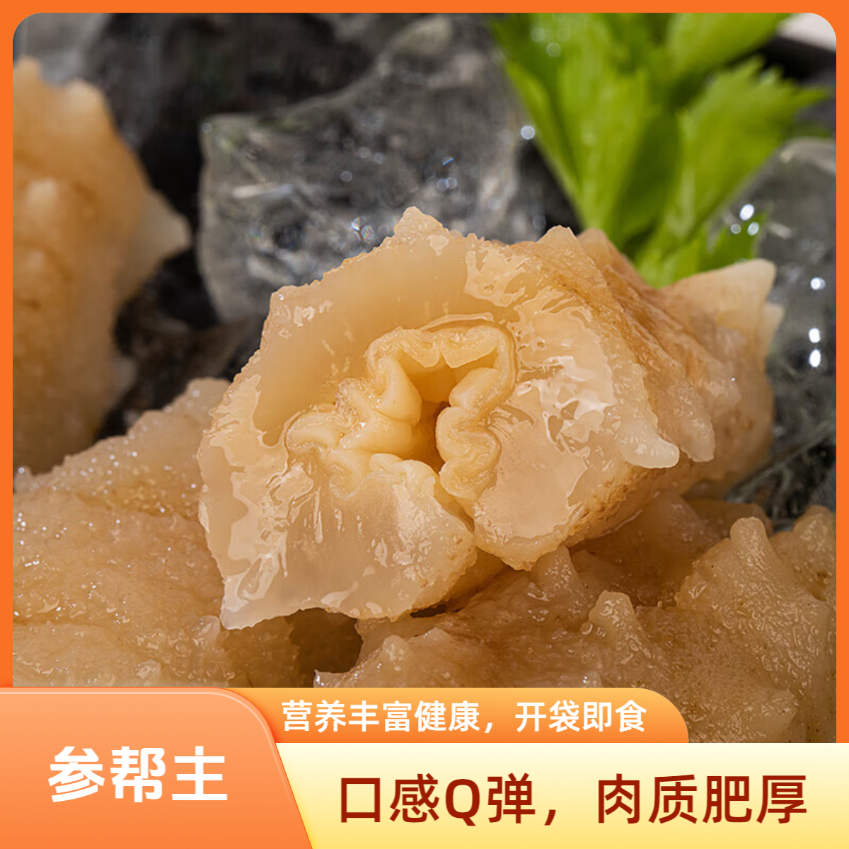 旻源参帮主海参（5-7头/斤）鲜食海参新鲜海参野生海参