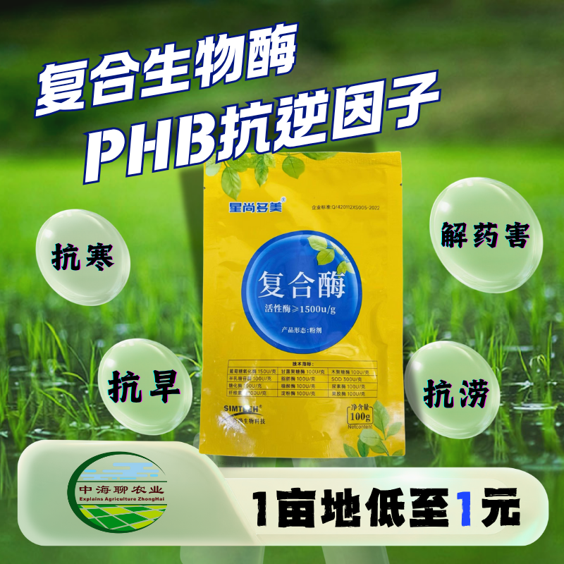复合酶中海聊农业生物酶抗逆抗旱解药害促果提效