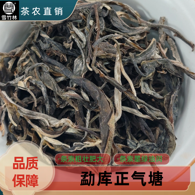 【雪竹林】2024年勐库正气塘古树头春茶茶气强烈香气浓郁持久耐泡