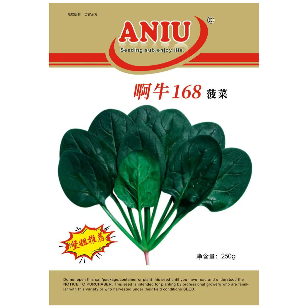 【坚姐送福利】啊牛168菠菜种子（净含量:250克）