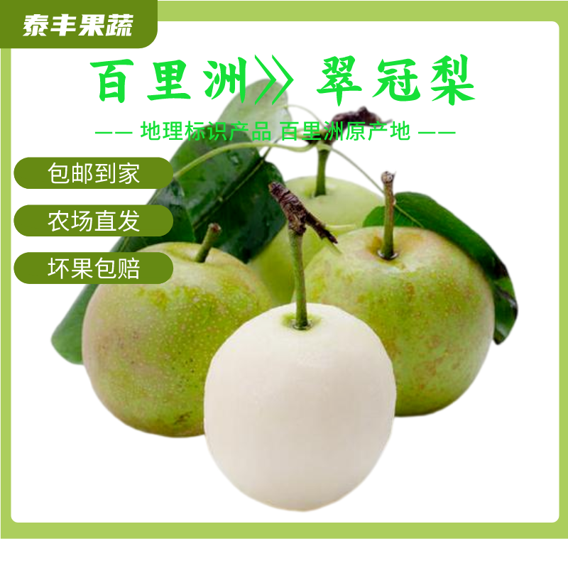 正宗百里洲翠冠砂梨脆甜多汁现摘现发