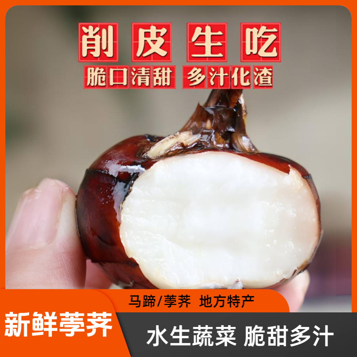 农家自种新鲜荸荠现挖马蹄大果脆甜爽口应季蔬菜地栗水果产地直发