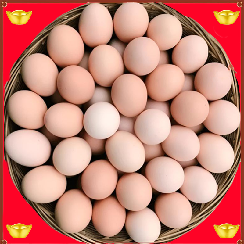 【限量抢购】土鸡蛋农家散养正宗新鲜土鸡蛋健康鸡蛋纯五谷喂养