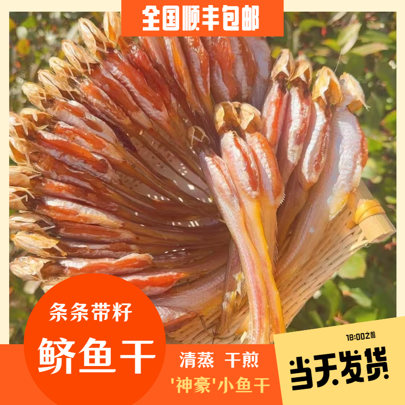 宁波特产凤尾鱼干 带籽鲚鱼干 烤籽鱼干 咸鱼干 蒸煮煎炸顺丰