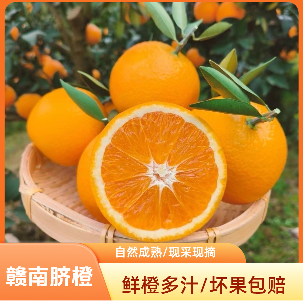 正宗赣南脐橙应季生鲜水果赣州直发10斤橙子鲜橙现发过年送礼礼品