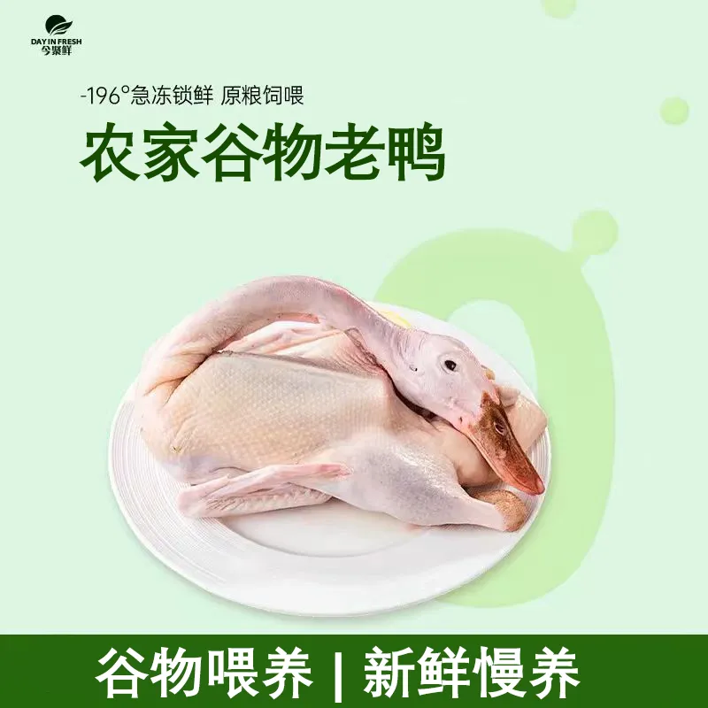 【今聚鲜】谷物喂养溪水老鸭单只净重6-7斤*1只 煲汤爆炒皆宜