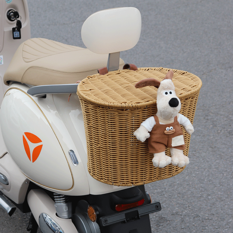 雅迪Q50电动车后置车筐带盖大容量摩登光芒改造装饰挂包篮放头盔