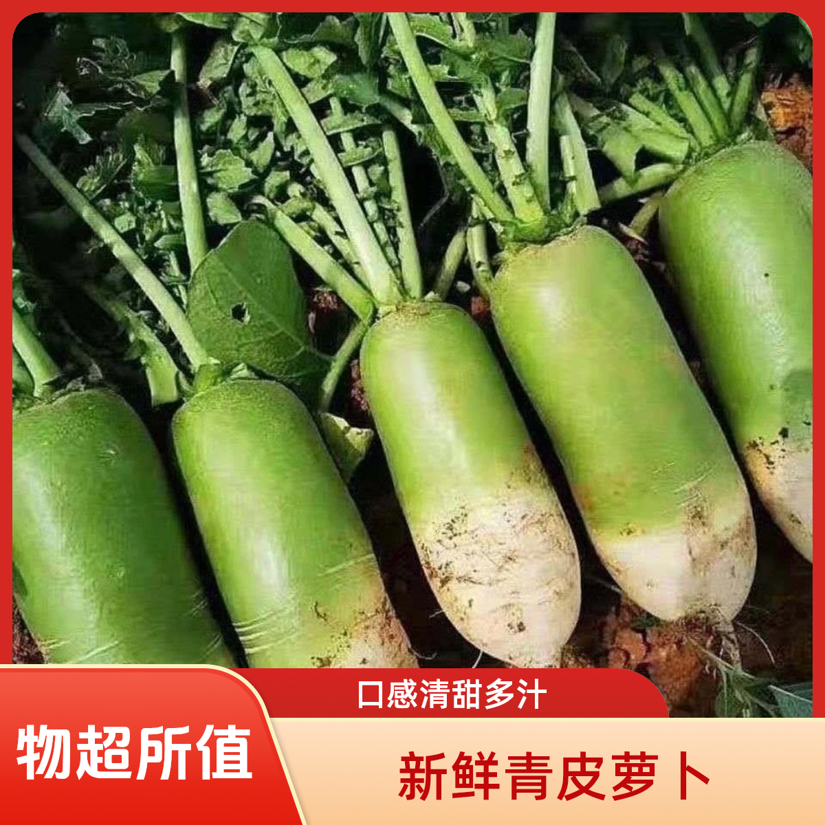 现挖现发当季新鲜水果萝卜脆甜多汁无渣超开胃