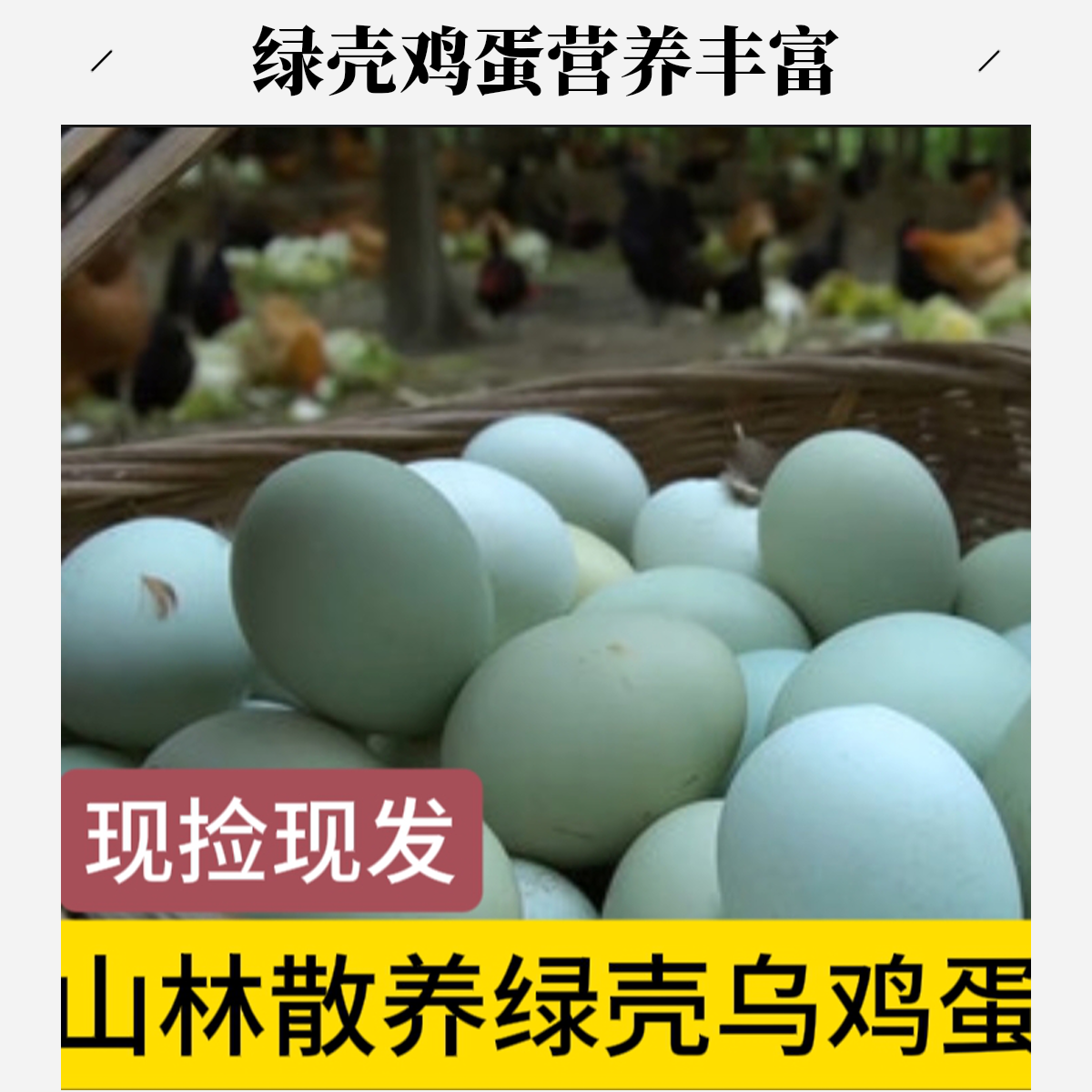 农村大山散养绿壳蛋农家新鲜土鸡蛋产地农户直发