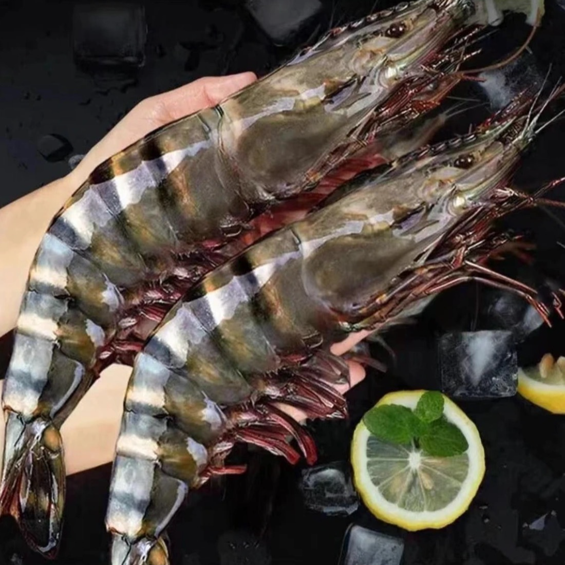 【7只左右/斤】A级1015规格黑虎虾3斤装 21-24只左右鲜活船冻A