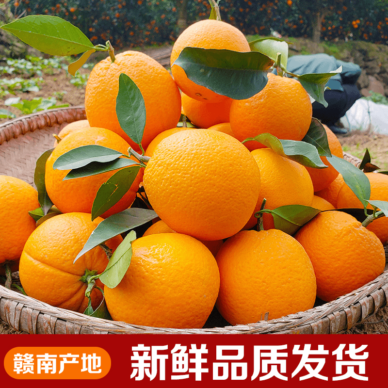 【带枝叶】正宗江西赣州赣南脐橙10斤新鲜甜橙子5斤当季水果包邮