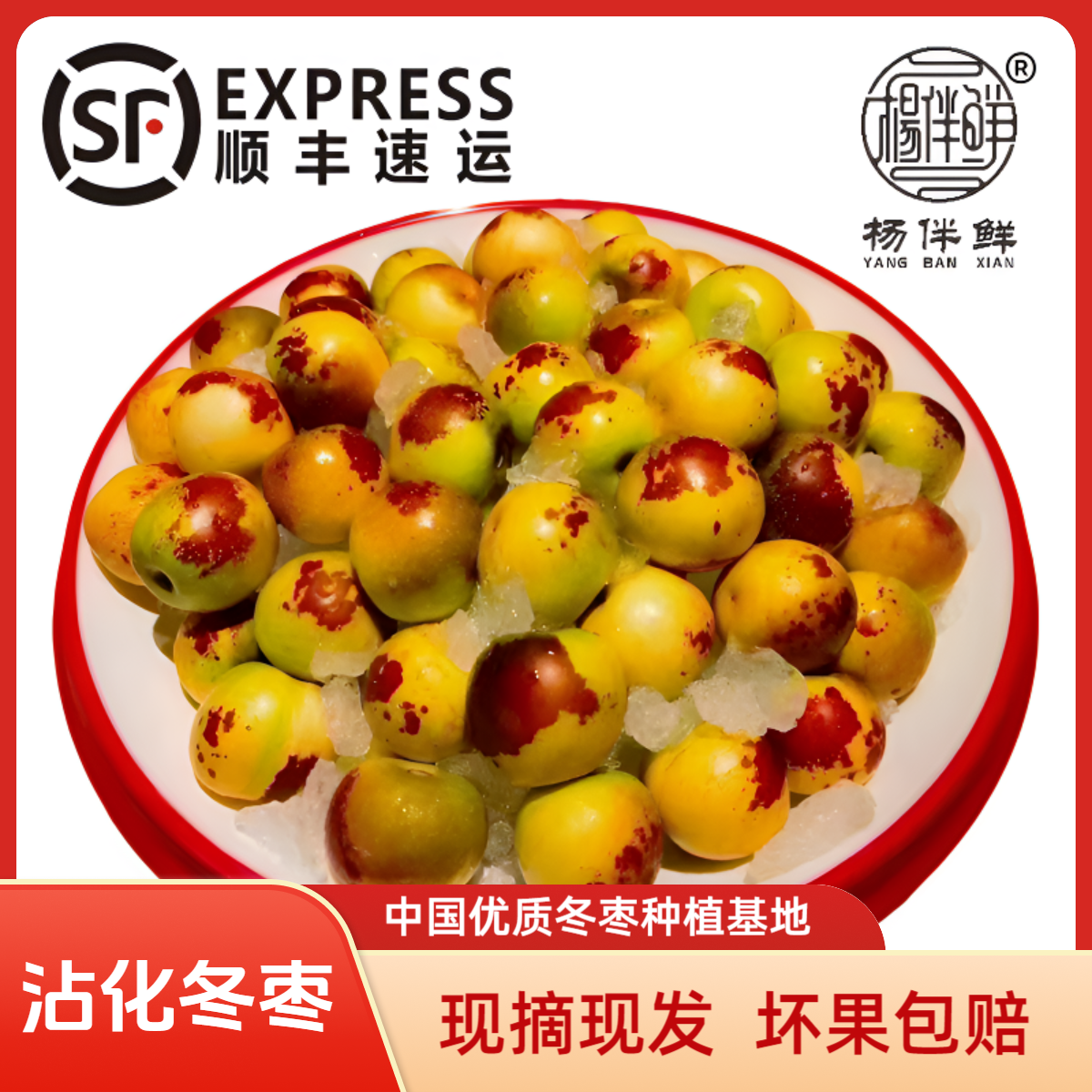 杨伴鲜【顺丰包邮】沾化冬枣5斤 大棚冬枣  产地直发