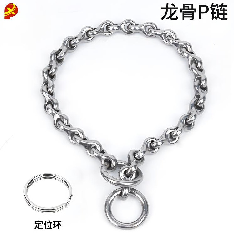 龙骨304不锈钢狗狗项圈P链中型大型犬马犬金毛卡斯罗脖套训犬链子