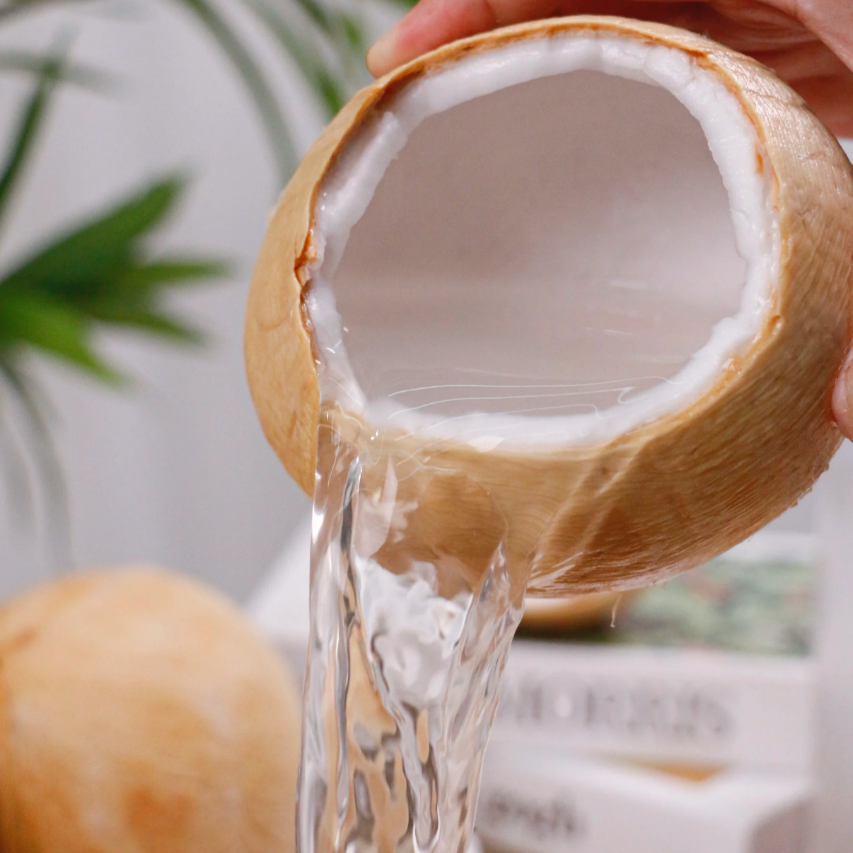 【顺丰冷链】泰国丹嫩沙多牛奶椰皇新鲜水果清甜多汁孕妇适用