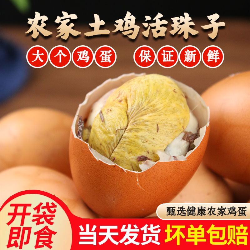 13天活珠子正宗新鲜红壳五香香辣鸡胚蛋钢化蛋真空独立包装即食