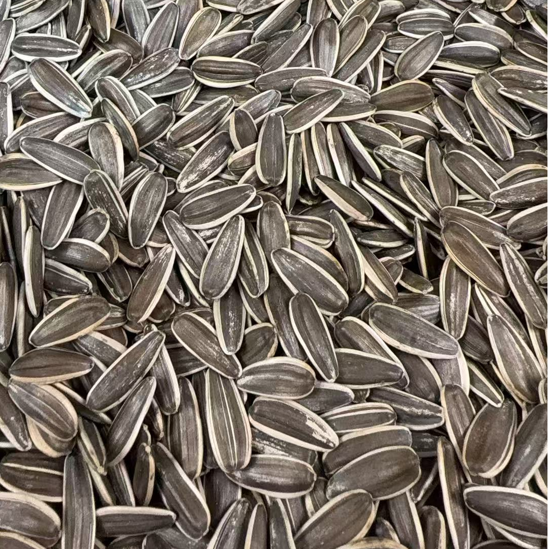 内蒙原味炒瓜子熟瓜子颗粒饱满好吃不上火新货零食