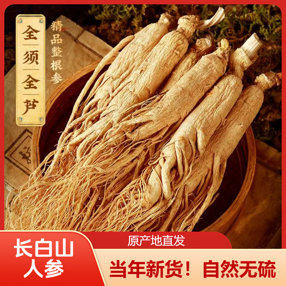 G长白山整支干参自然晾晒可煲汤泡酒9-12支/100克*1包