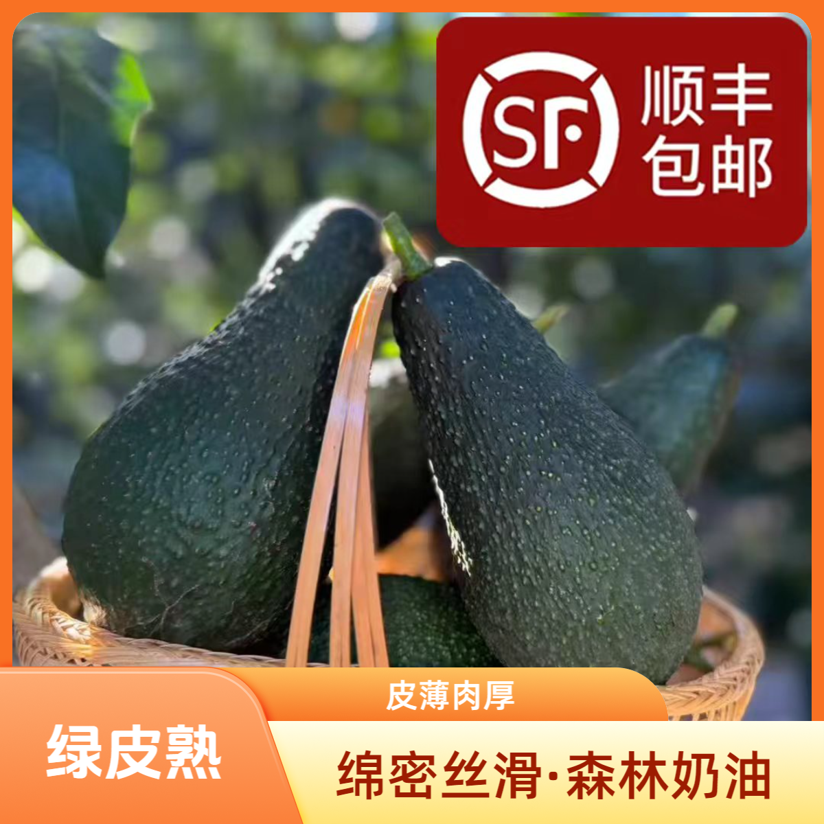 【凤鸣甄选】吴大漂亮云南牛油果品克顿巨无霸绿皮熟大果顺丰包邮