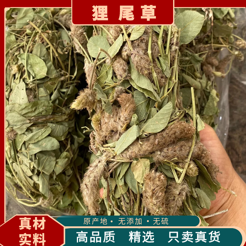 狸尾草野生狸尾草羊咩香自家晒中药材狐尾草煲汤煮养生凉茶薄荷