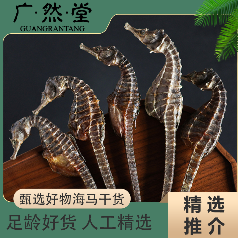 广然堂正品溯源码 2-4克一对海马干货 煲汤泡酒滋补