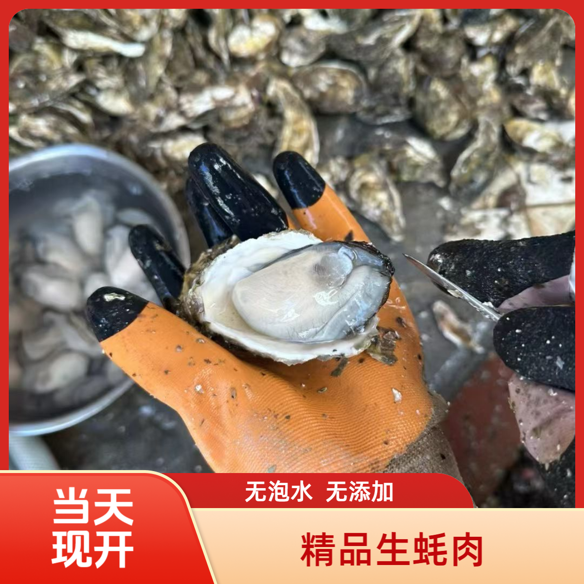 现开精品生蚝肉 去壳牡蛎肉 烧烤蚝烙 冷藏保存 广东顺丰包邮一斤