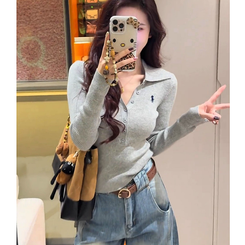 早春季新款气质小马标刺绣V领长袖针织衫女时尚洋气百搭显瘦上衣