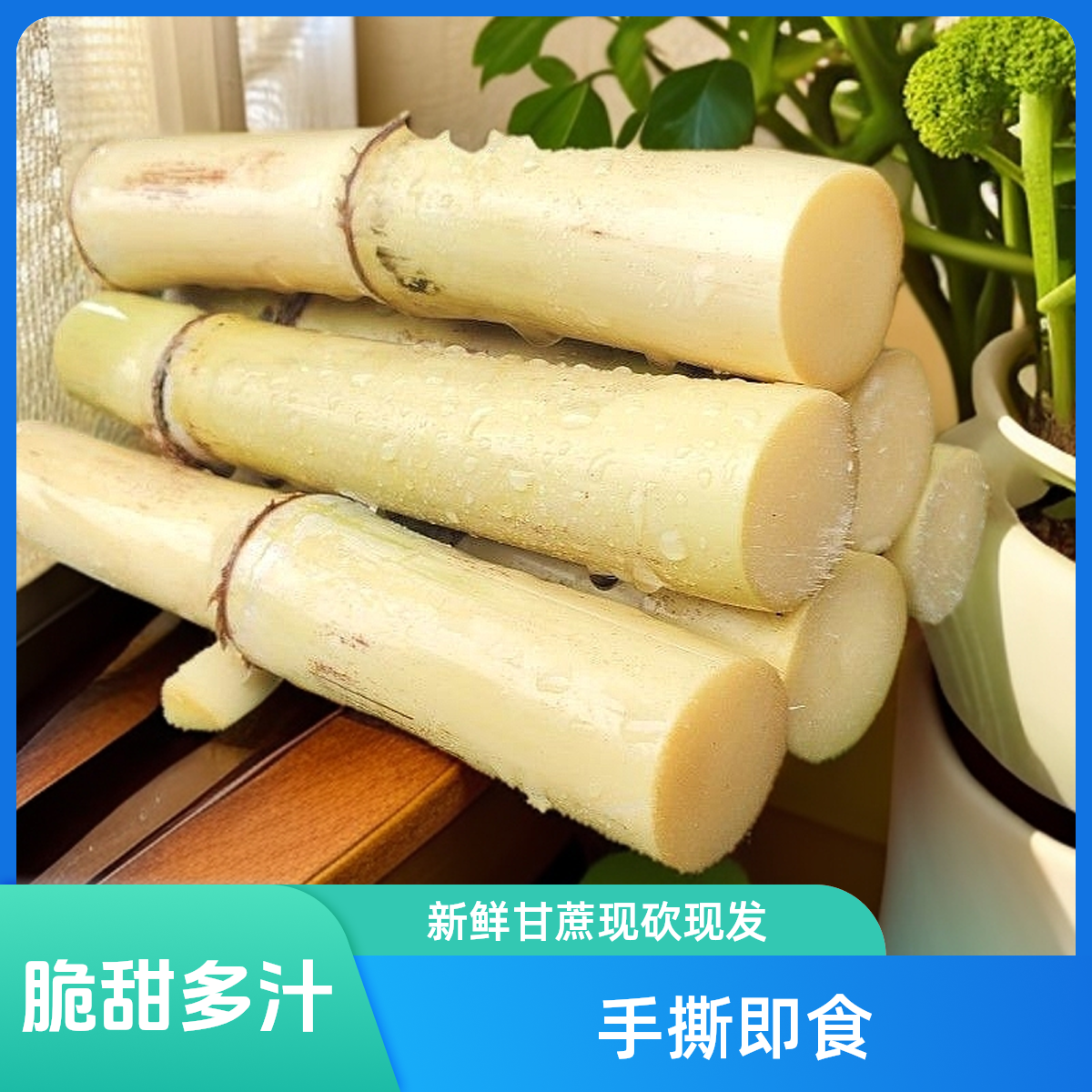 【喜喜专属】广西特产木格白玉甘蔗当季新鲜玻璃脆顺丰包邮现砍直发