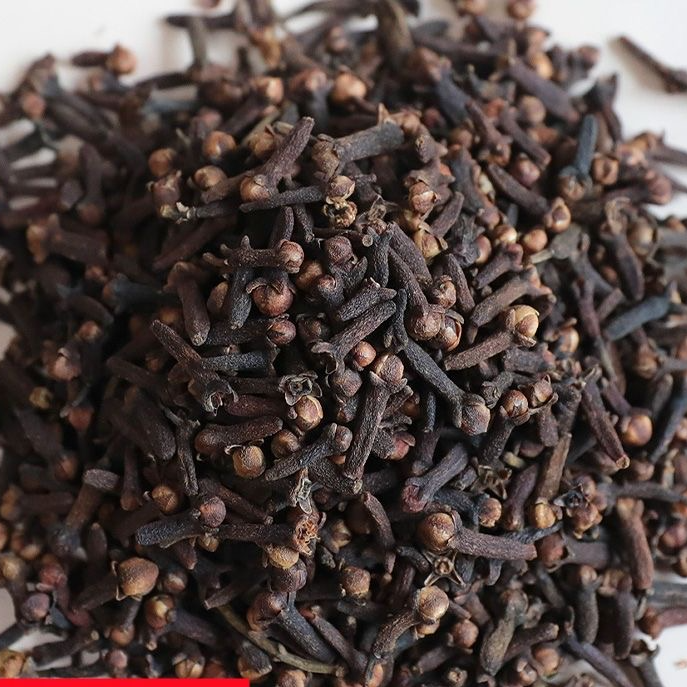 广西新公丁香雄丁大红丁香丁香花卤菜卤肉香料钓鱼可磨粉另售八角