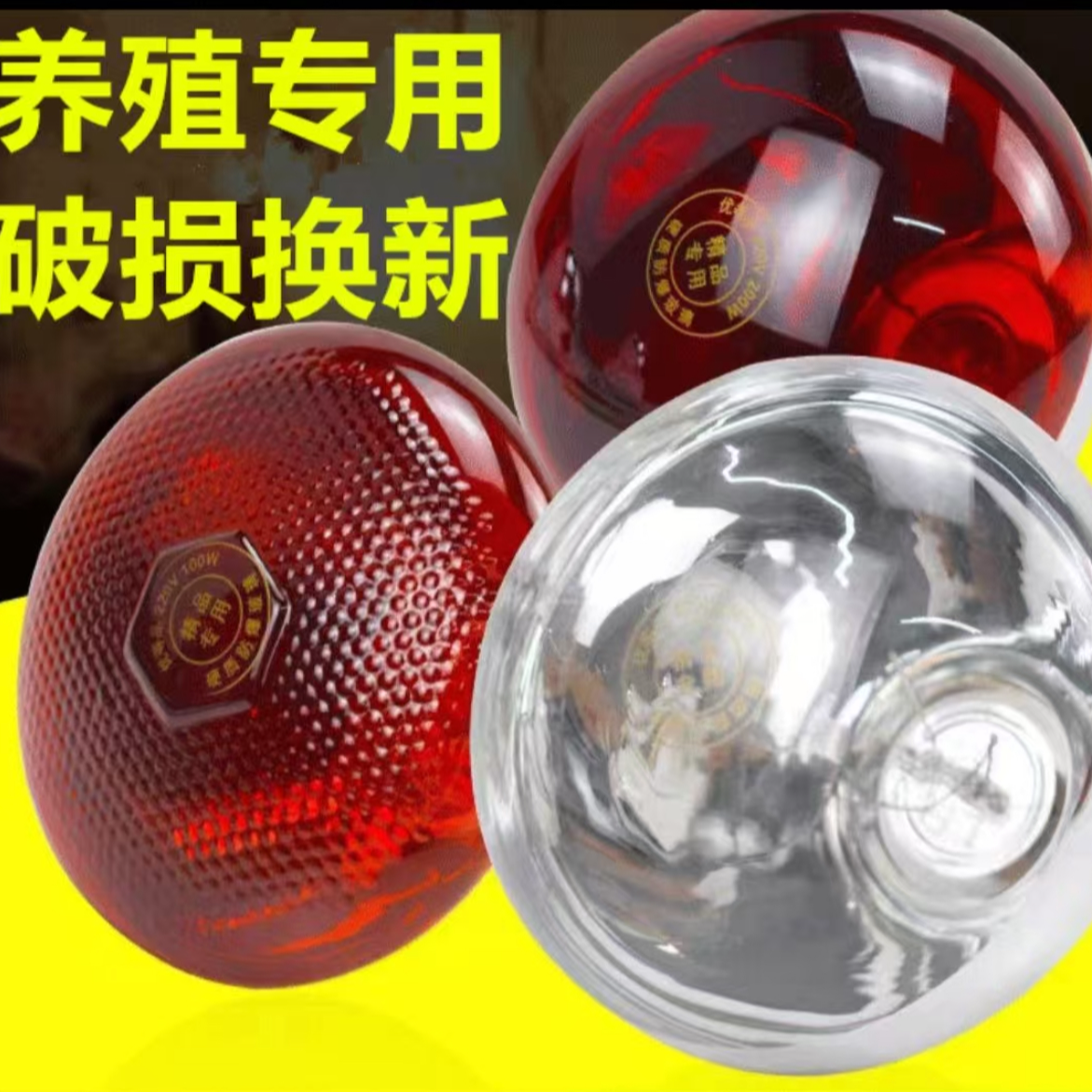 洽村1 新款浴霸灯泡卫生间防水防爆LED光源