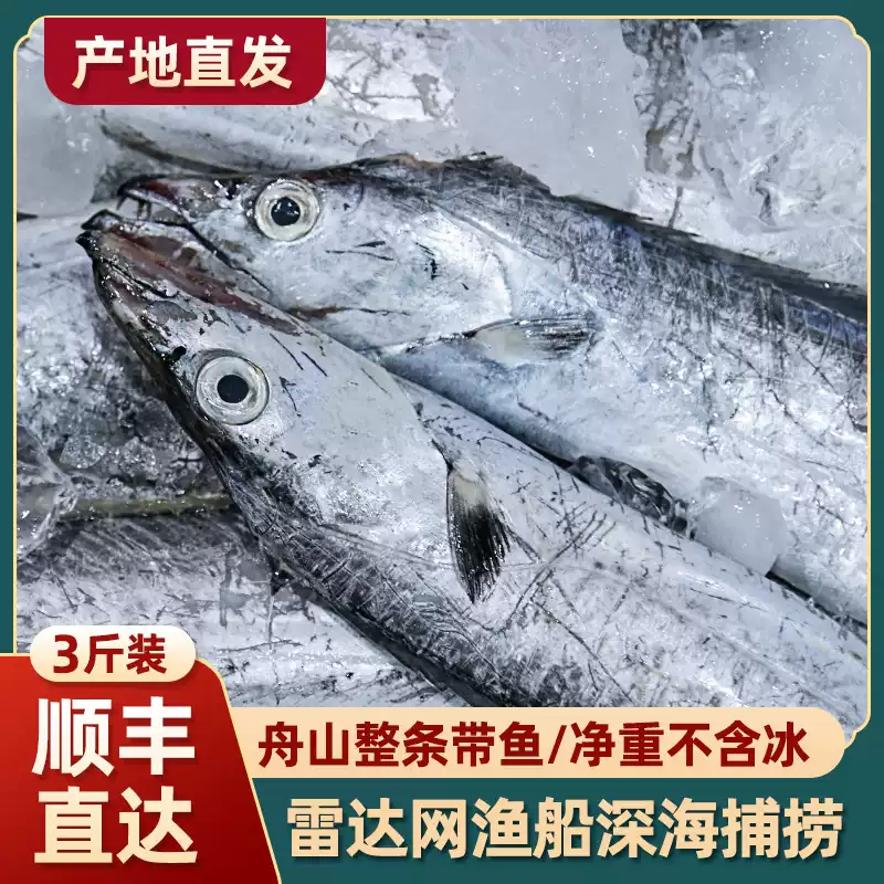 [顺丰冷链]正宗东海雷达网油带鱼小眼睛鹰钩嘴新鲜速冻整条无冰衣