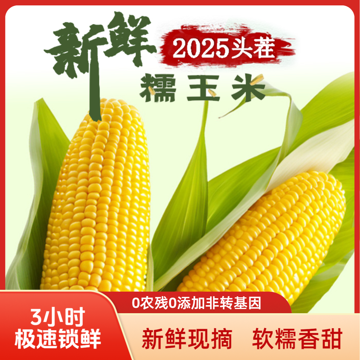 【25年头茬】东北真空包装黄甜糯玉米280克-350克10棒含2棒试吃