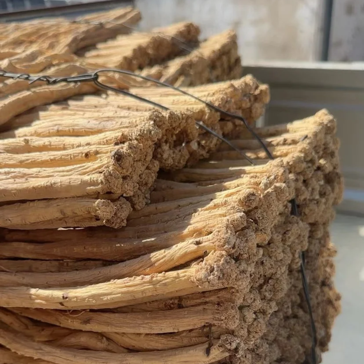 甘肃岷县党参原产地直供干货党参条泡水煲汤