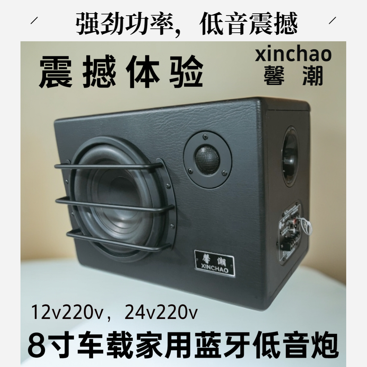 馨潮8寸大炮震撼音质大功率有源蓝牙音响汽车12/220V，货车24/220V